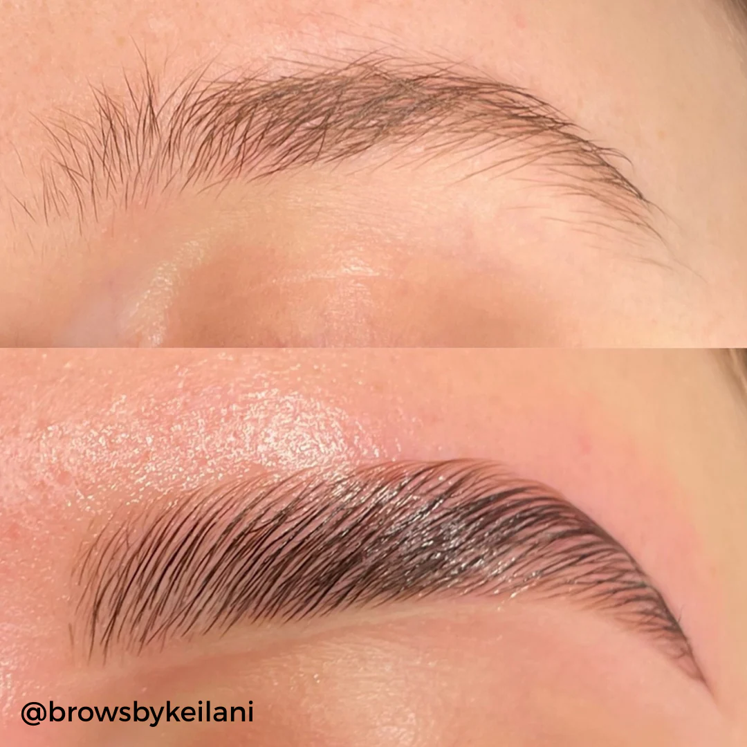 Complete Brow Waxing Kit - Image 4